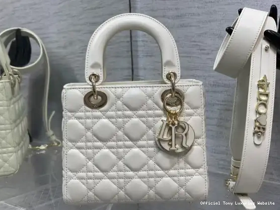 Tony Luxuries DI0R-20CM LADY 0616